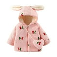 thumbnail image 1 of FDDMis Jacket for Toddler Girl Baby Girl Coat 9-12 Months Baby Coats Boys Sherpa Lined Hoodie New Born Girl Clothes Infant Clothes Boys 3-6 Months, 18-24 Months, 1 of 9