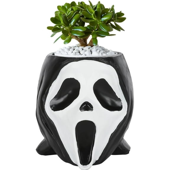 FDEEOM Horror Planters Scary Head Plant Pots Small Face Flower Succulent Pots Vase with Drainage Hole for Indoor Outdoor Home Halloween Dcor, Resin D