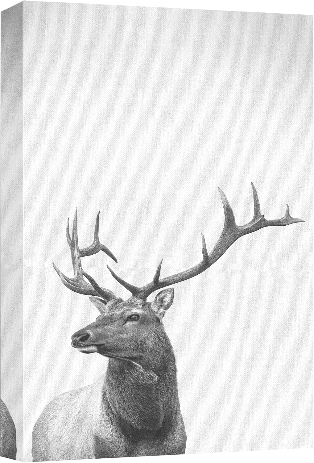 FDFW Canvas Print Wall Art Paint Splatter Rustic Forest Deer Animals ...