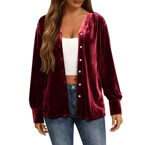 FDGIU Women's Dressy Velvet Blouse, Long Sleeve Slim Fit Tunic Top with Round Neck for Holiday & Night