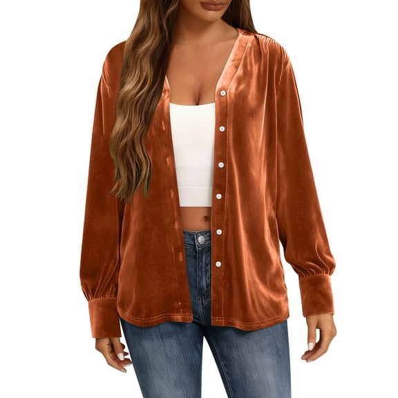 FDGIU Women's Dressy Velvet Blouse, Long Sleeve Slim Fit Tunic Top with Round Neck for Holiday & Night