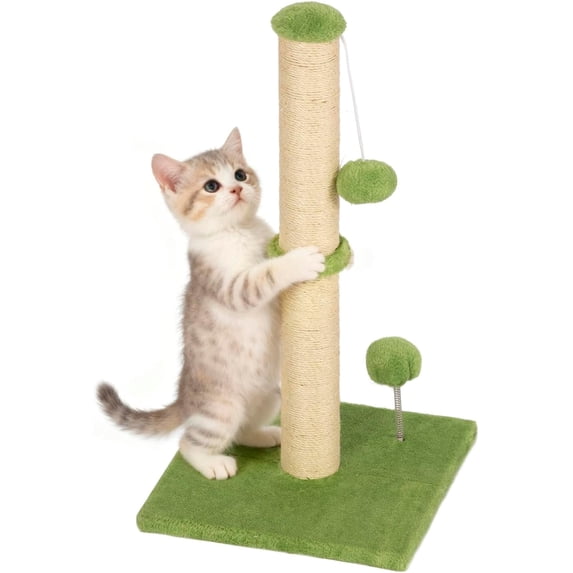FDW 22 Inch Cat Scratching Post Cat Scratcher Natural Sisal Rope Scratch Post Kitten Trees with Hanging Ball for Indoor Cats ,Green