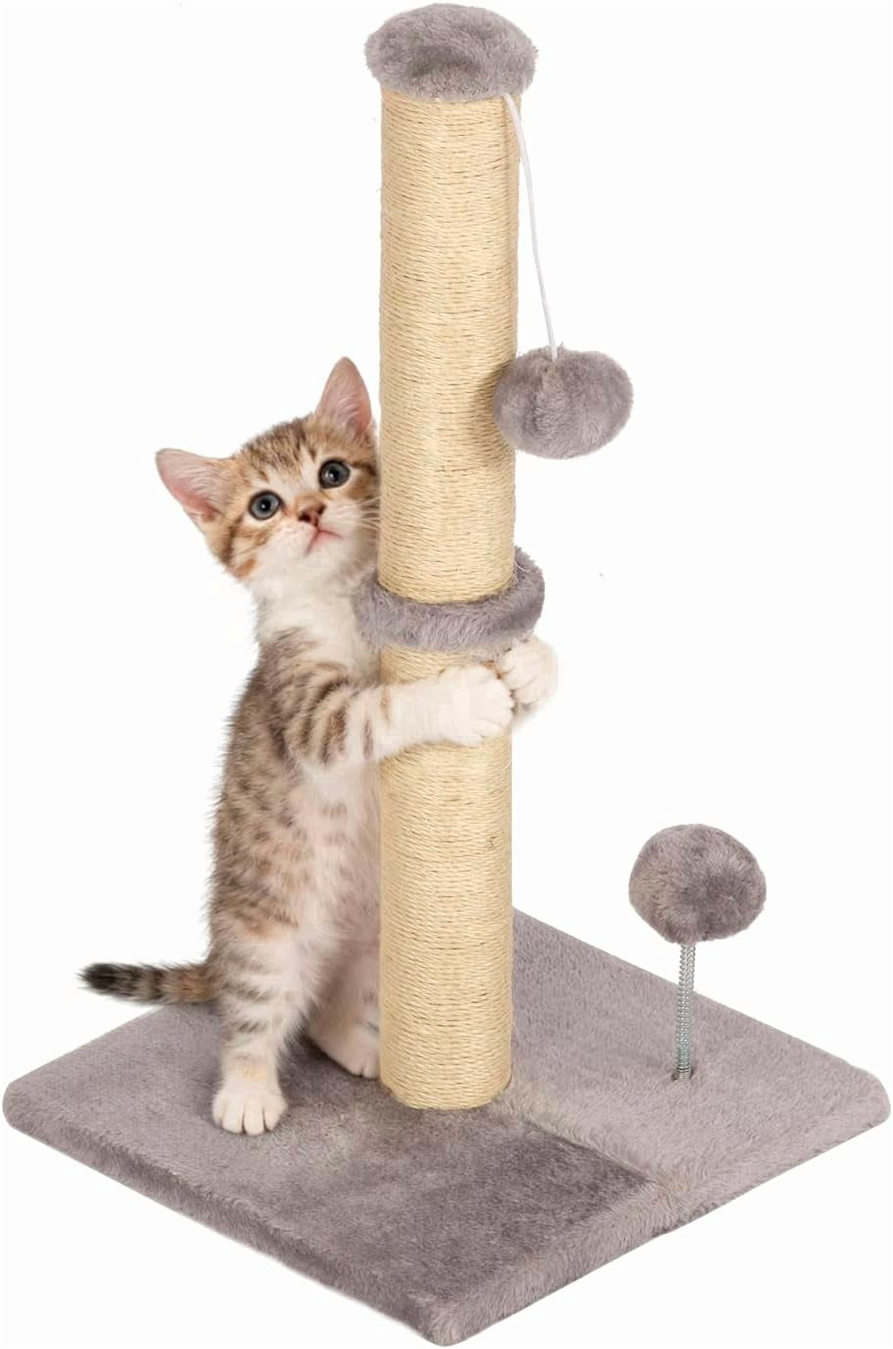 FDW 22 Inch Cat Scratching Post Cat Scratcher Natural Sisal Rope ...
