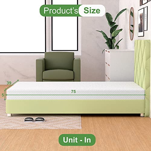 FDW 5 inch Gel Memory Foam Mattress Queen Mattresses Medium Firm Mattresses,Adults,Twin
