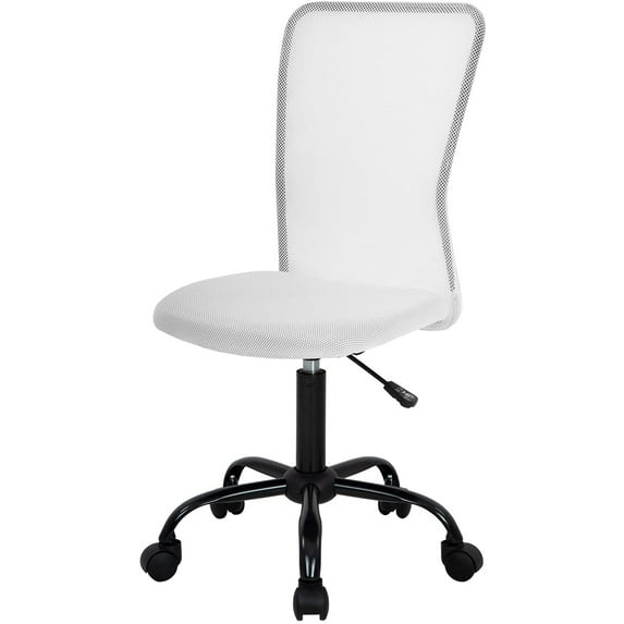 FDW Ergonomic Home Office Chair, Lumbar Support, Rolling Swivel for Men, Women(White)