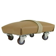 FEI Exercise Skate, Foam Padded and Upholstered, Small, 6 x 6