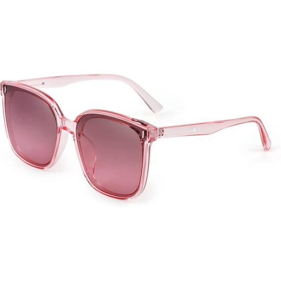 FEISEDY Women Oversized Vintage Polarized Sunglasses Square Cute Trendy Classic Simple Men B2758