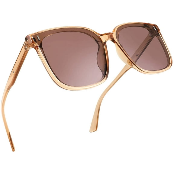 FEISEDY Women Oversized Vintage Polarized Sunglasses Square Cute Trendy Classic Simple Men B2758