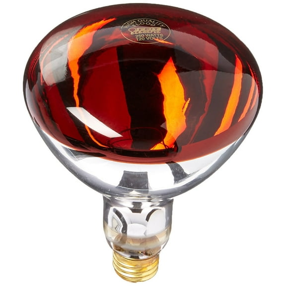 FEIT ELECTRIC 250R40/R Heat Lamp