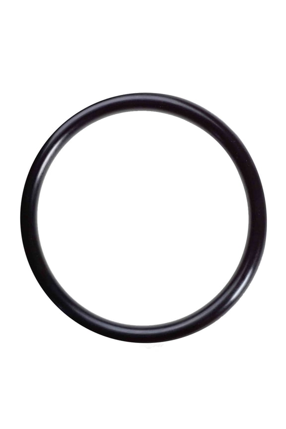 417 Distributor O-Ring