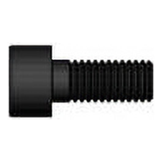 Felco 211/6 Screw F-211/6