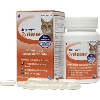 Ceva All Cat Health and Wellness in Cat Health and Wellness Walmart