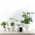 thumbnail image 1 of FELTECHELECTR 1Pack Automatic Watering Pots in White Color Perfect for Office Use 5.9x5.5x2.8in, 1 of 8