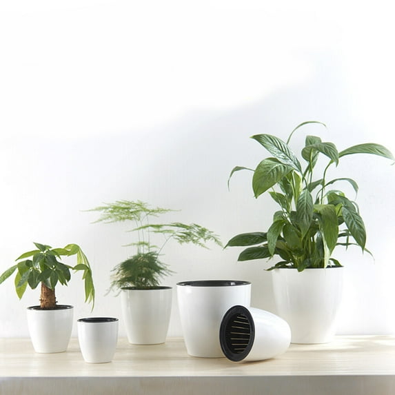 FELTECHELECTR 1Pack Automatic Watering Pots in White Color Perfect for Office Use 5.9x5.5x2.8in