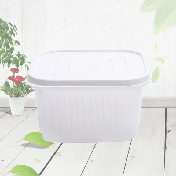 FELTECHELECTR Produce Saver Transparent Box 1Set