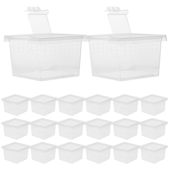 FELTECHELECTR  20 Pcs Insect Feed Bin Spider Terrarium Reptile Hatching Container Catcher