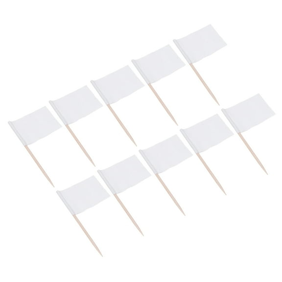 FELTECHELECTR 200Pack Flag Toothpicks for Appetizers Cake Toppers Paper Flag Decor Design for Family Friends Parties