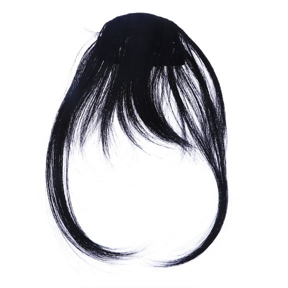 FELTECHELECTR 2Pcs Front Hair Extensions Clip In Fake Bangs Black High Temperature Fiber for Daily and Party Use