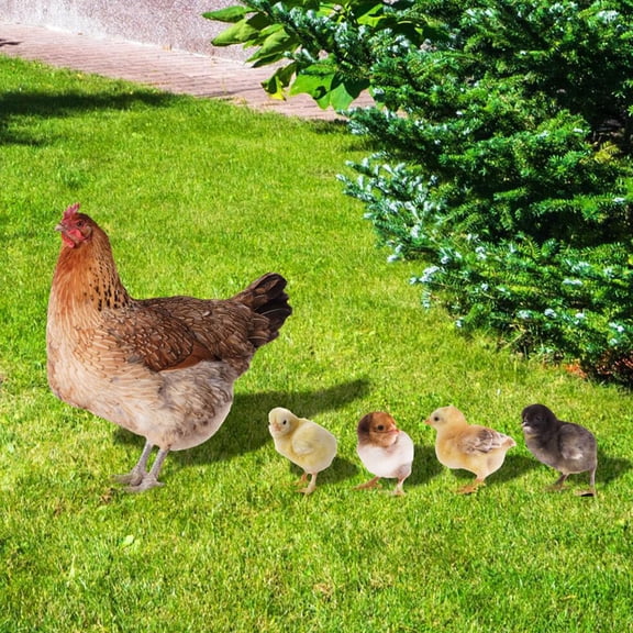 FELTECHELECTR 5Pcs Chicken Outdoor Decor Double Sided Pattern Rustic Garden Statues