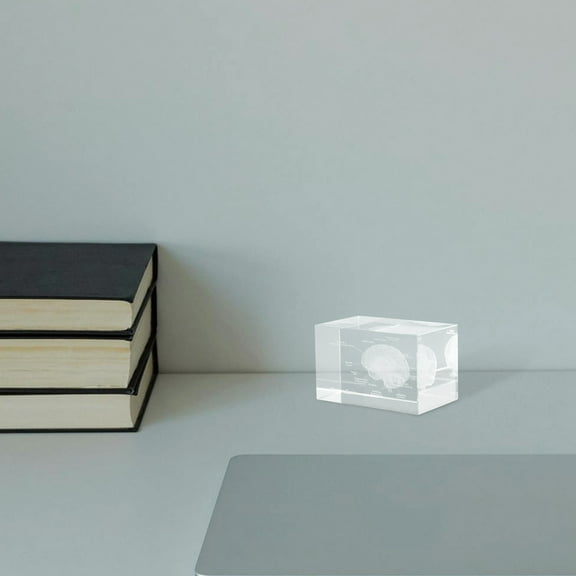 FELTECHELECTR Human Heart Model 3D Human Brain Anatomical Model Transparent Science Decor For Medical Students 1Pcs