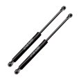 thumbnail image 1 of FEMPRXZ 1 Pair Tailgate Lift Supports Rear Left Driver Right Passenger Side Strut for BMW for X5 2000-2006, 1 of 5