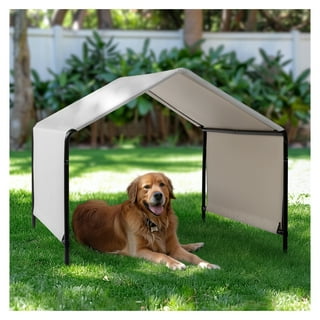 Dog Kennel Canopy