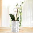 thumbnail image 1 of FENGGHAO Ceramic Orchid Pots with Drainage Holes and Saucer 4 Inch Breathable Planter for Indoor Outdoor Circulation White, 1 of 7