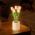 thumbnail image 1 of FENGGHAO Mothers Day Tulip Night Light 6 Heads Pink Artificial Flower LED Lamp with Vase Dimmable Rechargeable Table Centerpiece Home Decor, 1 of 7