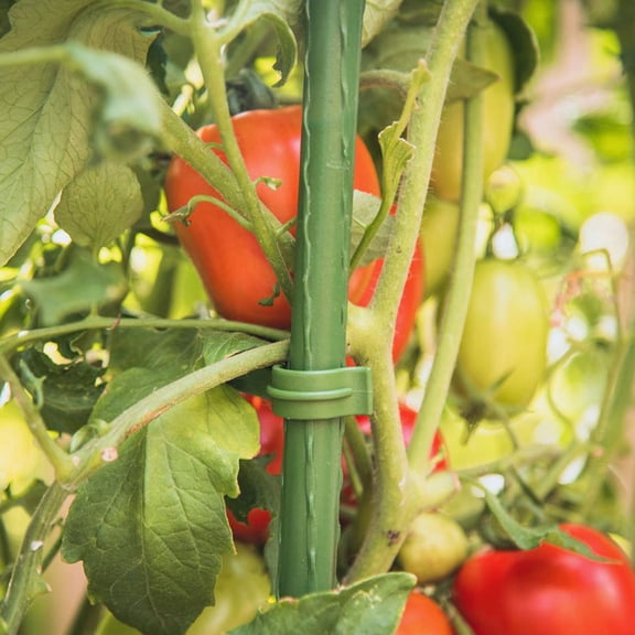 FENGGUIQU 10pcs Tomato Cage Climbing Bracket Green PP Plant Support for Home Decoration