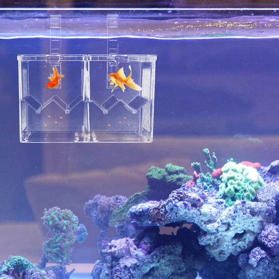 FENGGUIQU 1Pc Transparent Plastic Fish Breeding Box Aquarium Isolation Case for Juvenile Separation