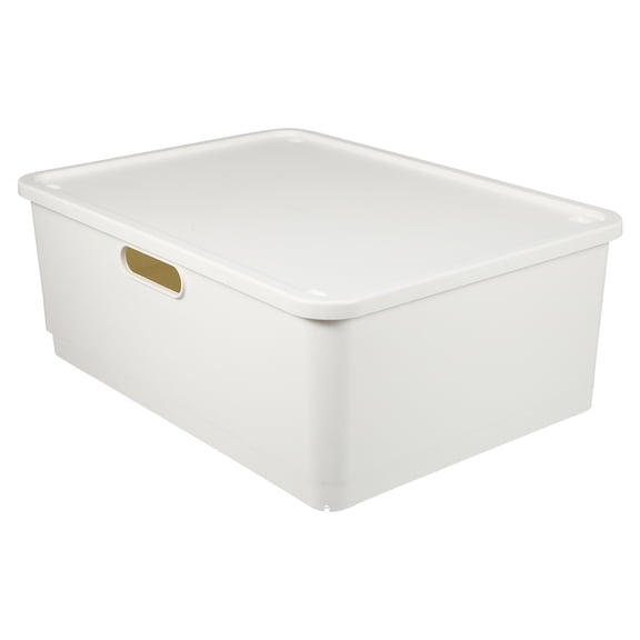 FENGGUIQU White PP Storage Box with Lid for Home and Desktop Organization