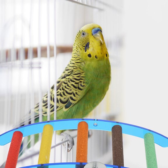 FENGGUIQU Acrylic Bird Playstand for Parrots Pet Perch Stand Home Use
