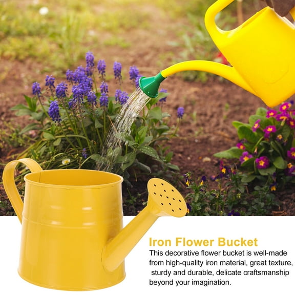 FENGGUIQU Set of 2 Decorative Iron Flower Buckets, Multi-Purpose Plant Pots in Assorted Colors for Indoor and Outdoor Gardening