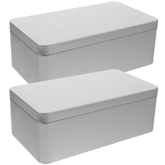 FENGGUIQU 2Pcs Holiday Cookie Tins Rectangular Tinplate Box for Adults Silver