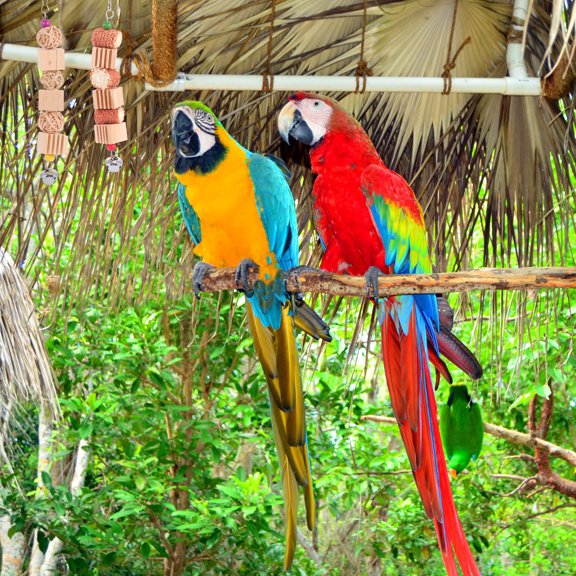 FENGGUIQU Pet Birds Chewing Plaything Assorted Color Cuttlebone Rattan Corn 3Pcs