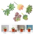 thumbnail image 1 of FENGGUIQU Decorative Succulents Plant Assorted Color Velvet for Home Decor 6Pcs, 1 of 4