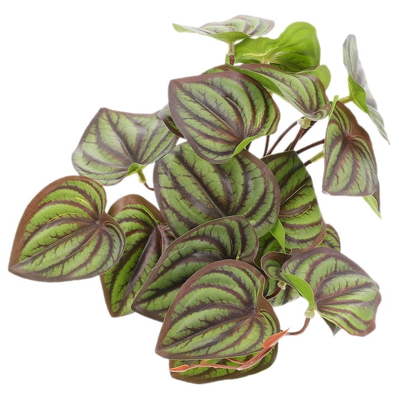 FENGGUIQU Artificial Green Reptile Plants for Terrarium Decoration Realistic Durable Plant Ornament