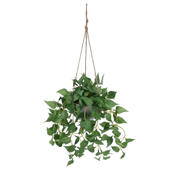 FENGGUIQU Hemp Rope Hanging Planter Vine Decorative Green 1Set