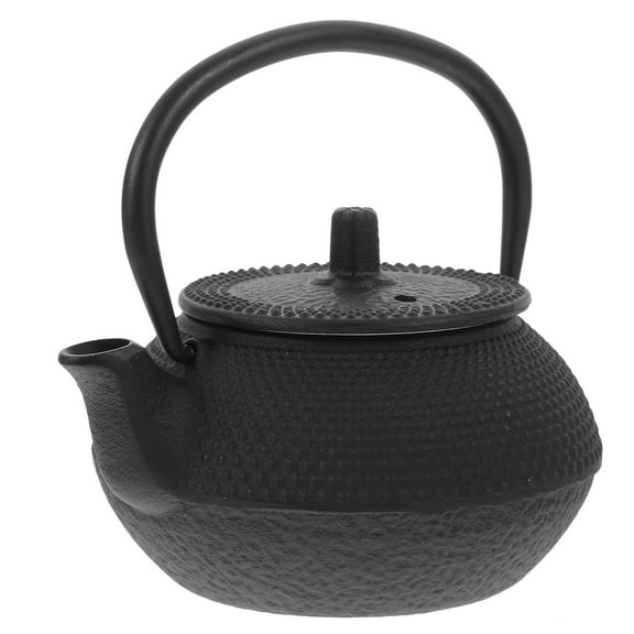 FENGGUIQU Chinese Style Cast Iron Teapot for Home Tea Making Stovetop Black Metal Teakettle