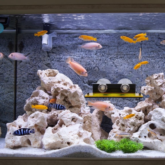 FENGGUIQU Betta Fish Tank Accessories Coral Frag Holder Acrylic Multi Slot 1Pack