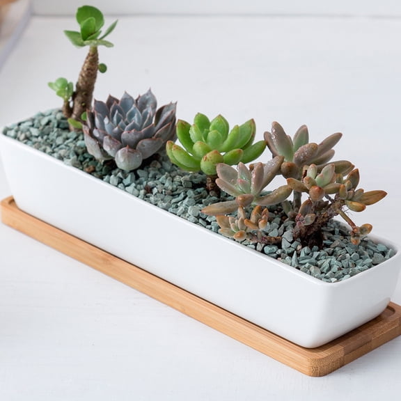 FENGGUIQU White Ceramic Desk Plant Pot Rectangular Planter for Indoor Garden and Home Decoration