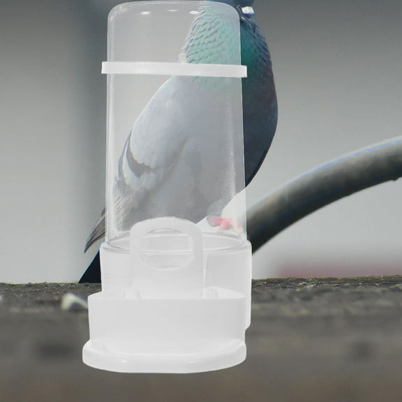 FENGGUIQU water bottles for rats cage Water Dispenser ABS White 1Pack for Pet Owners