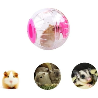 Guinea pig ball walmart new arrivals