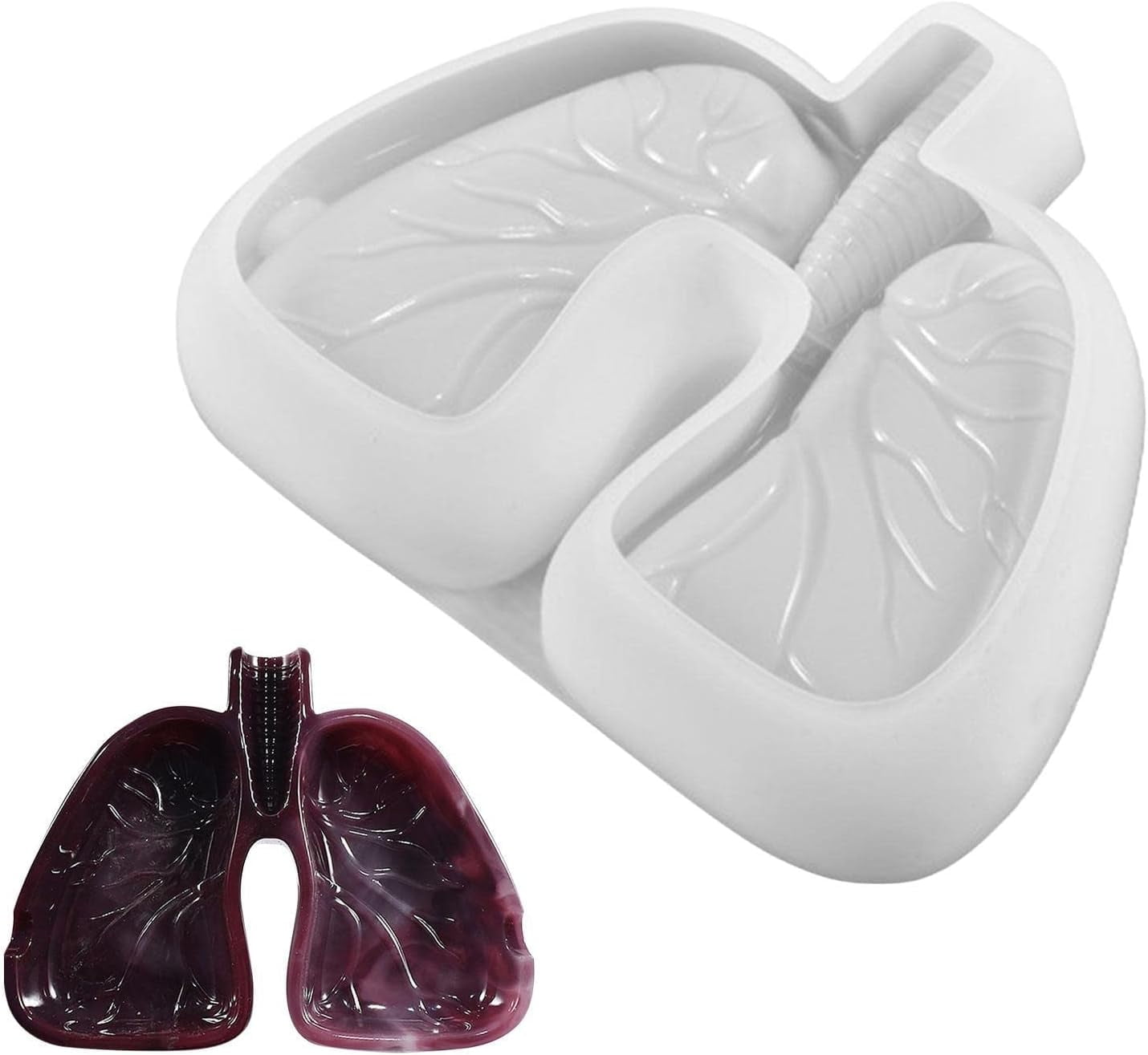 FENGLung Shaped Molds Resin Lung Mold for Epoxy Candy Molds Plaster