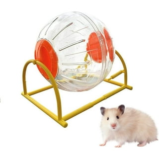 Dog Hamster Ball