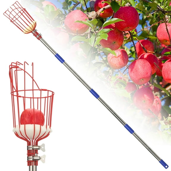 FENHRTVM Fruit Picker 8ft Adjustable Lightweight Fruit Picker Pole with Basket , Pick Avocado Apple Mango Grabber ,Stainless Steel Handle Sliver