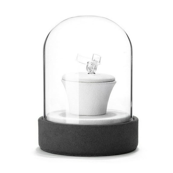 FENOHREFE Transparents Glass Jewelry Showcase Rack Display Stand for Rings/Necklaces/Bracelet/Earrings Accessories Storage Shelf