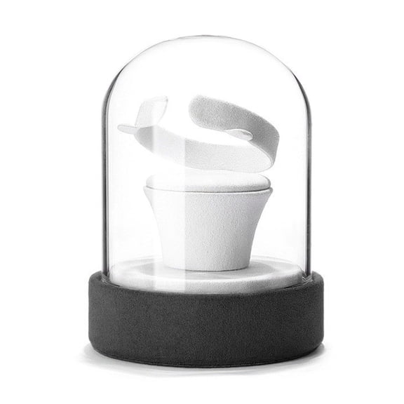 FENOHREFE Transparents Glass Jewelry Showcase Rack Display Stand for Rings/Necklaces/Bracelet/Earrings Accessories Storage Shelf