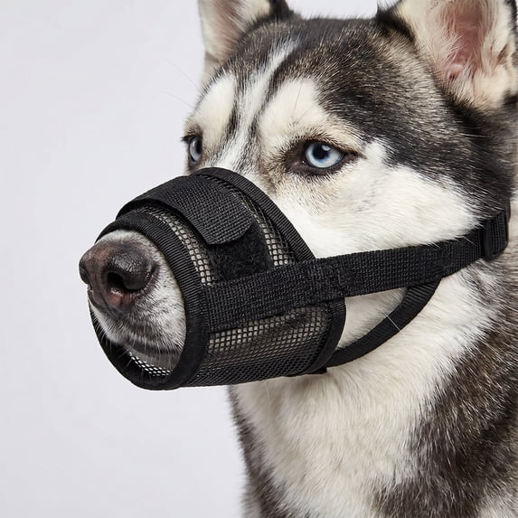 FEOLGEHLY Dog Muzzle Medium Sized Dogs – Soft Air Mesh Muzzle for Medium Sized Dog | Muzzles for Dogs | Mussle to Stop Biting, Barking and Chewing Perfect for Small to Large Doge(L)