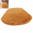 thumbnail image 1 of FEOLGEHLY Fluffy Oval Rug, Soft Area Rugs for Room, Play Mat for Living Room, Non Slip Circle Rug for Bedroom, Shag Plush Carpets for Dorm, Room Decor(24"x63"), 1 of 6
